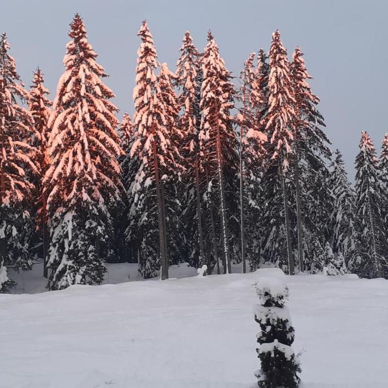 Woden apartment - Three-Bedroom Apartment - 45