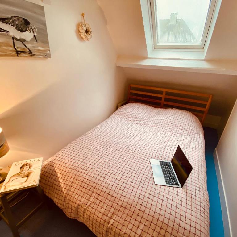 La Cabourgeaise - One-Bedroom Apartment - 4