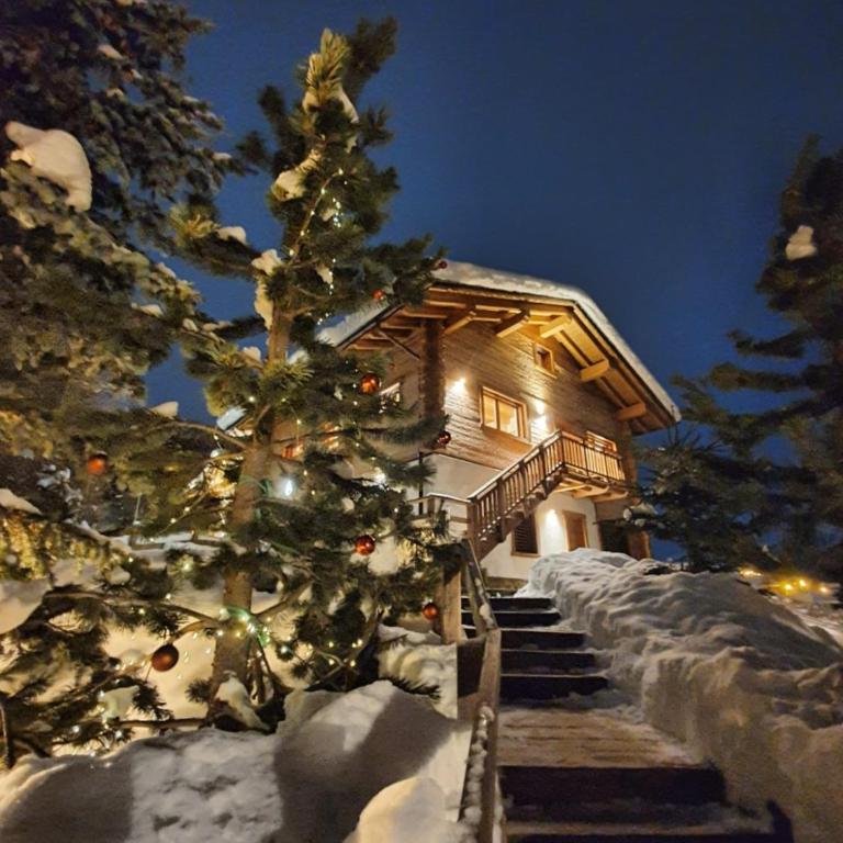 Nix & Nivis Chalet - Appartamento Superior - 2