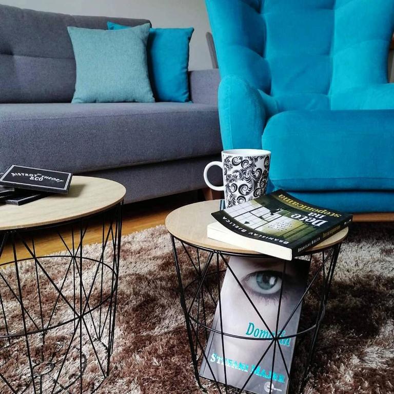 Vila Irina Kopaonik - Apartman IN - Apartman sa 1 Spavaćom Sobom - 6