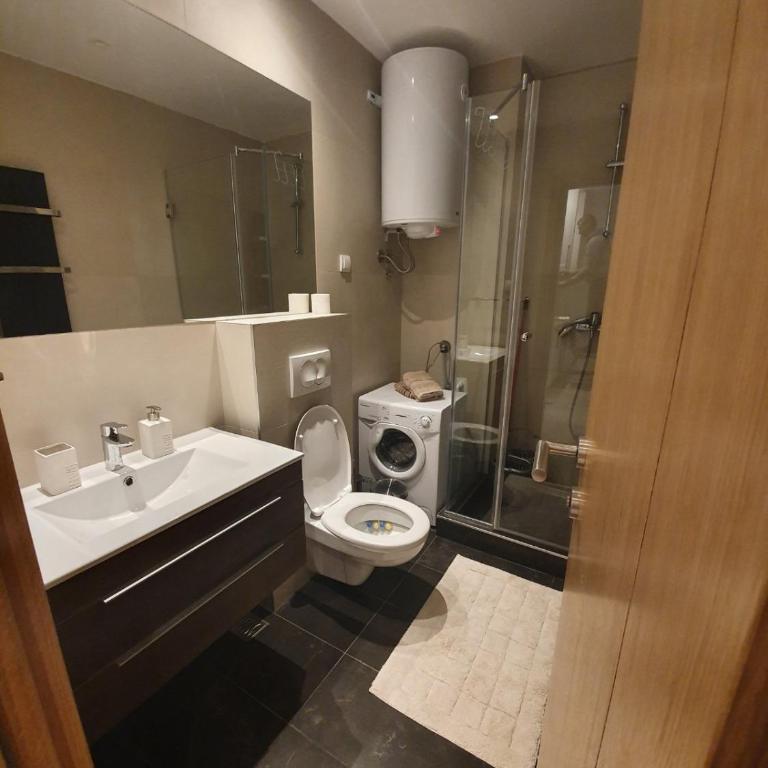 Vila Irina Kopaonik - Apartman IN - Apartman sa 1 Spavaćom Sobom - 14