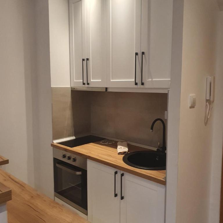 Vila Irina Kopaonik - Apartman IN - Apartman sa 1 Spavaćom Sobom - 7