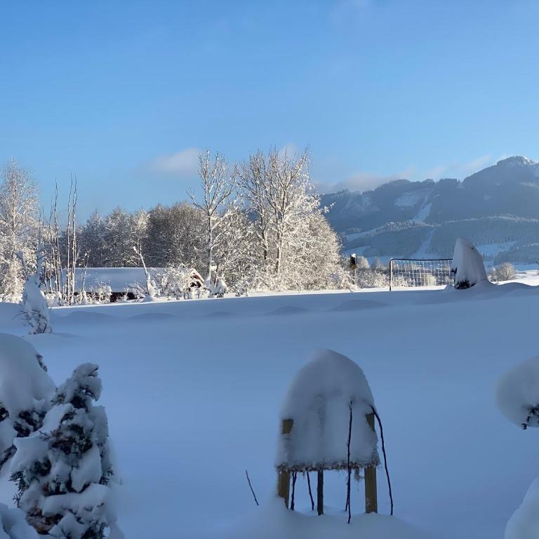 Ferienwohnung mit eigenem Garten und Bergblick - Appartement 1 Chambre - 17