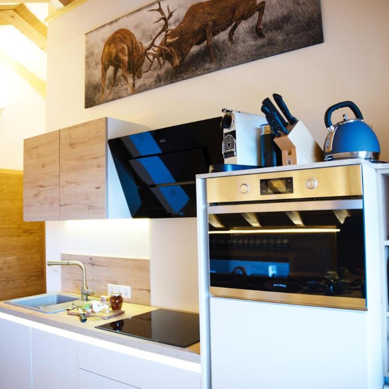 Leos Alpenchalet - inclusive Sommer Bergbahnticket und E-Auto Ladestation - Apartment mit 1 Schlafzimmer - 1