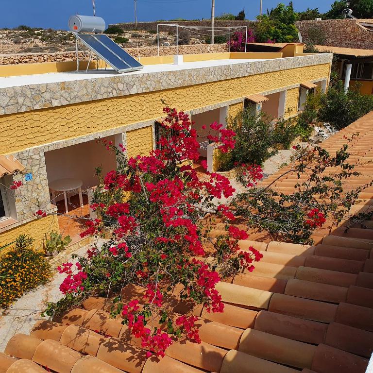 Residence Villa Felice - Appartamento con 1 Camera da Letto - 2