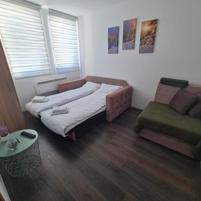 Sunčani Breg-Sunčana KOP studio - Apartman sa 1 Spavaćom Sobom - 20