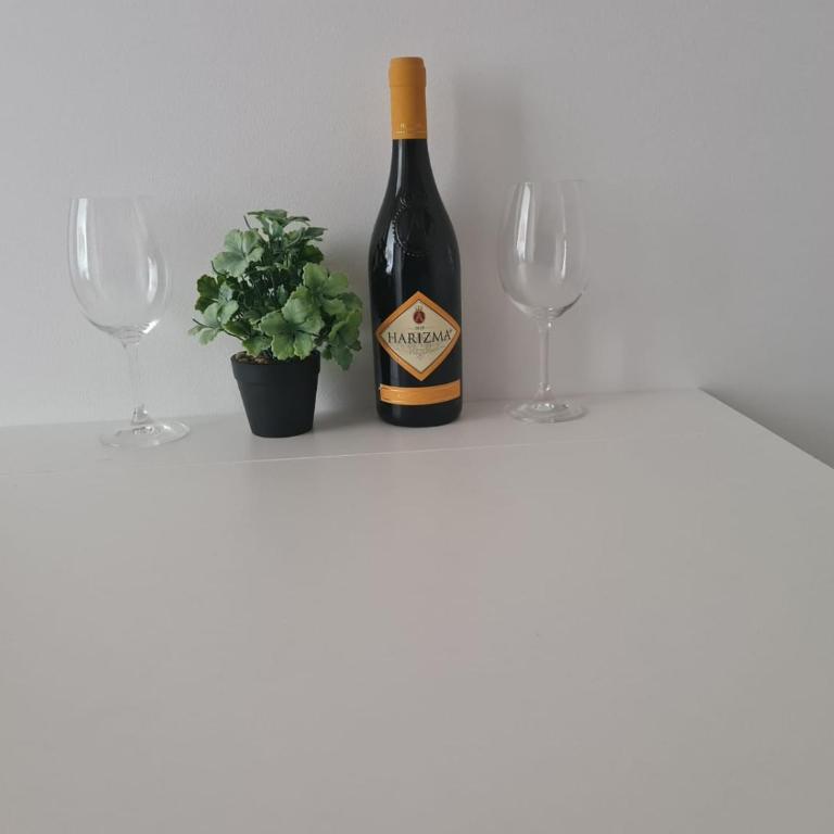 Sunčani Breg-Sunčana KOP studio - Apartman sa 1 Spavaćom Sobom - 13