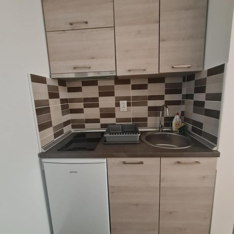 Sunčani Breg-Sunčana KOP studio - Apartman sa 1 Spavaćom Sobom - 11