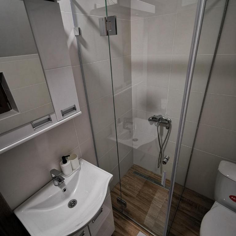Sunčani Breg-Sunčana KOP studio - Apartman sa 1 Spavaćom Sobom - 8