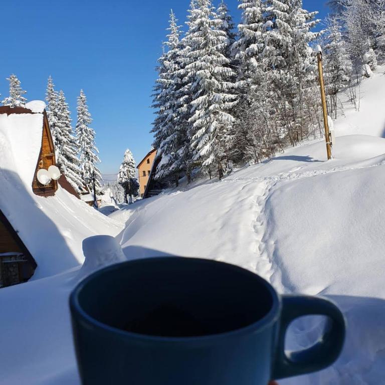 Jahorina 7Lux - One-Bedroom Apartment - 52