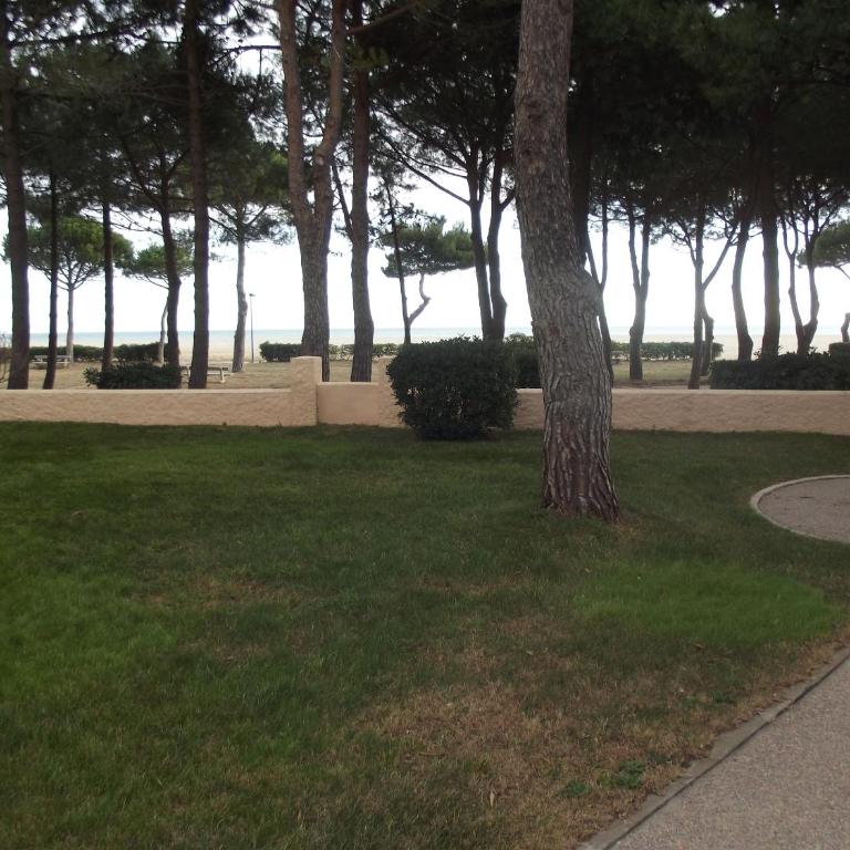 BELVEDERE 2 - Vue MER - Acces Direct Plage- Climatisation - Apartamento de 1 dormitorio - 13