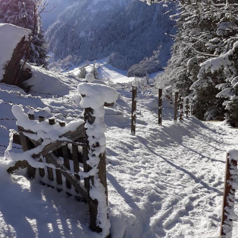 Oberreiter's Alpennest - Apartment mit Blick auf die Berge - 31