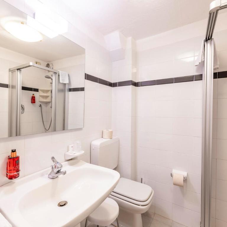Hotel Col di Lana - Camera Matrimoniale/Doppia con Letti Singoli con Letto Supplementare - 1
