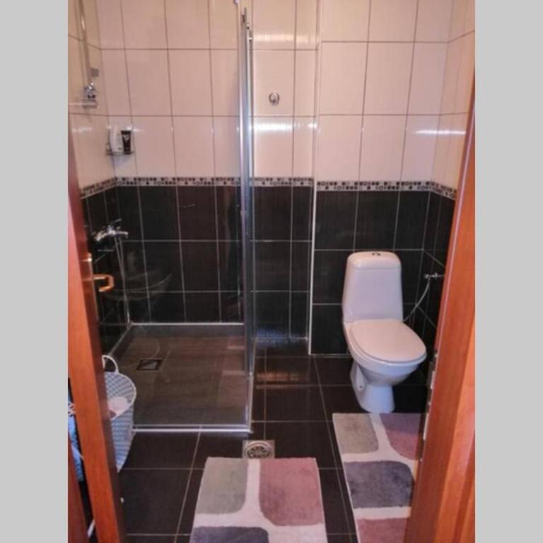 Apartman Kovacevic - Apartman sa 2 Spavaće Sobe - 5