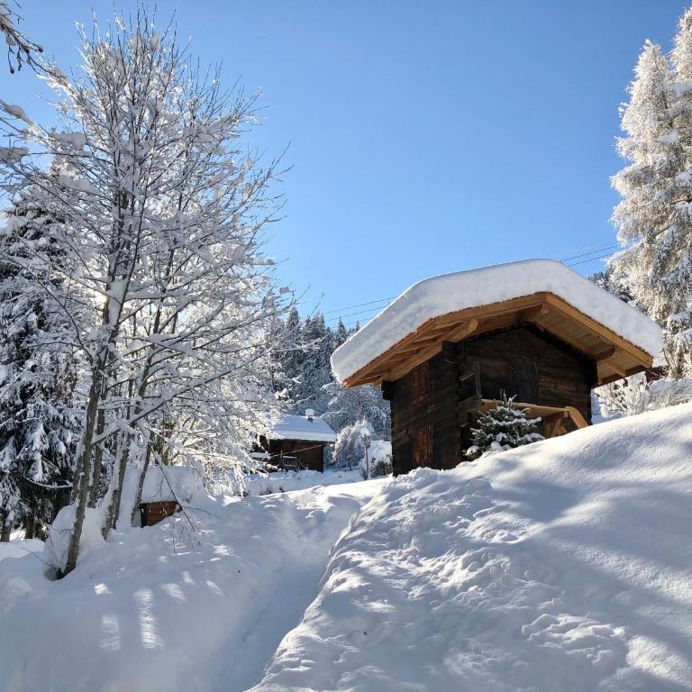 Chalet Mountain Vibes - Appartement avec Vue sur la Montagne - 48
