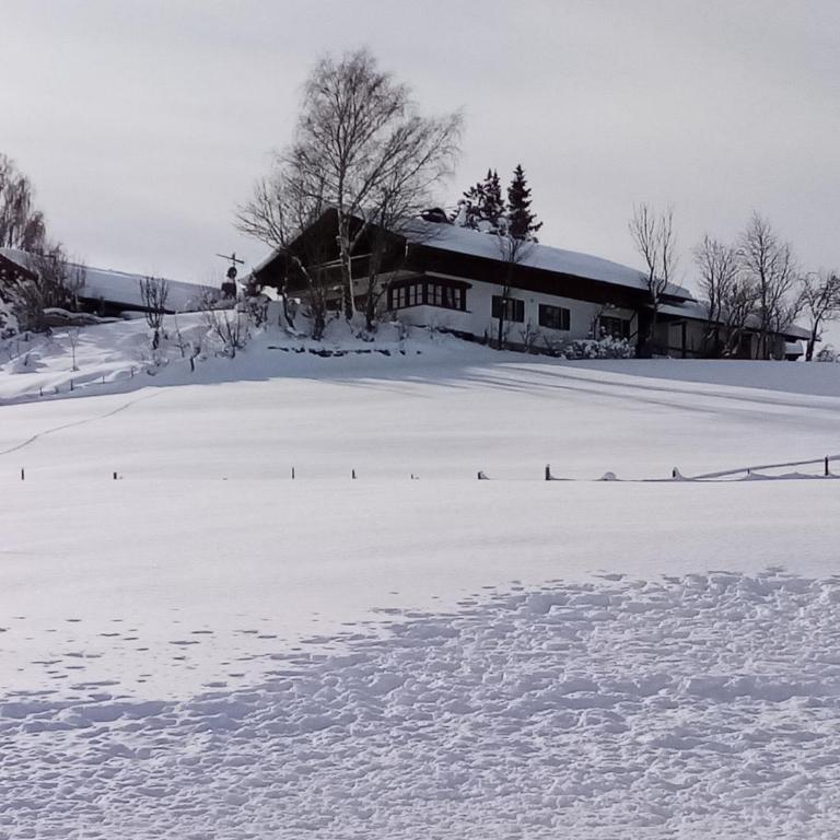 Haus Hopfenseeblick - Apartment mit Blick auf die Berge - 5