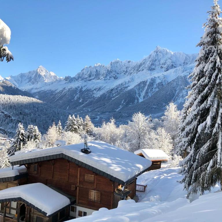 Chalet Mountain Vibes - Appartement avec Vue sur la Montagne - 13
