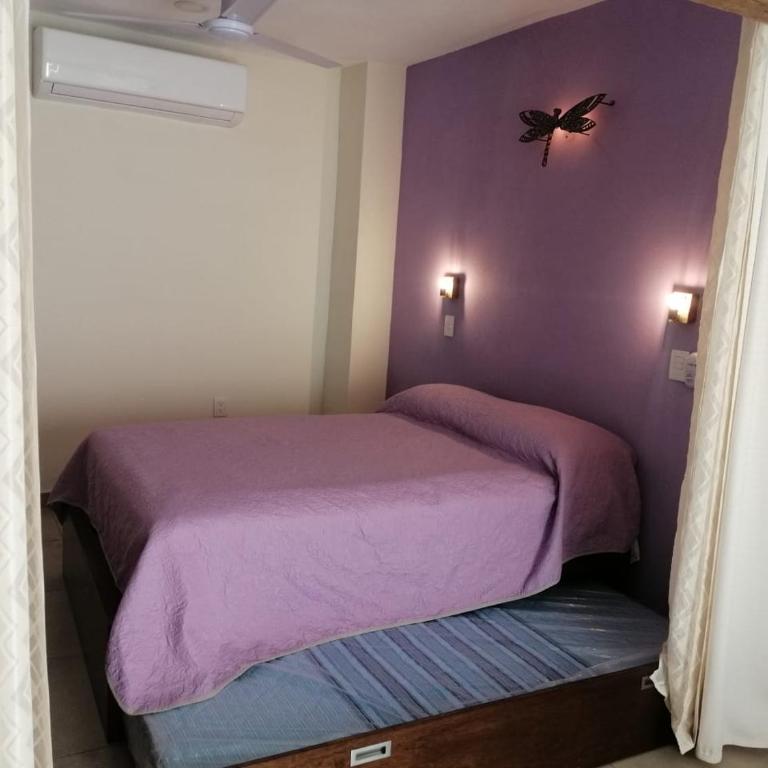 Aguacate Suites - Studio Apartment - 3
