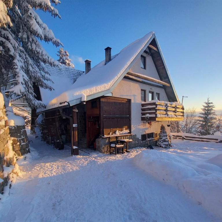 Holiday Home Dana Kopaonik - Two-Bedroom House - 1