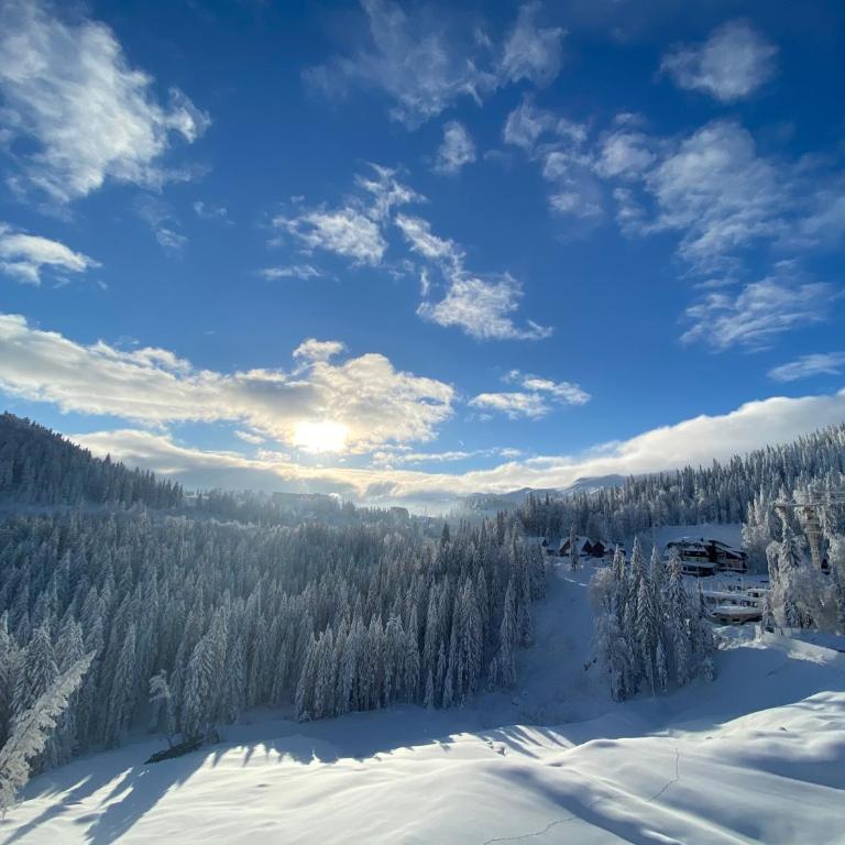 LUX apartman B432 Aparthotel Vučko Jahorina - private host - Apartment with Mountain View - 27