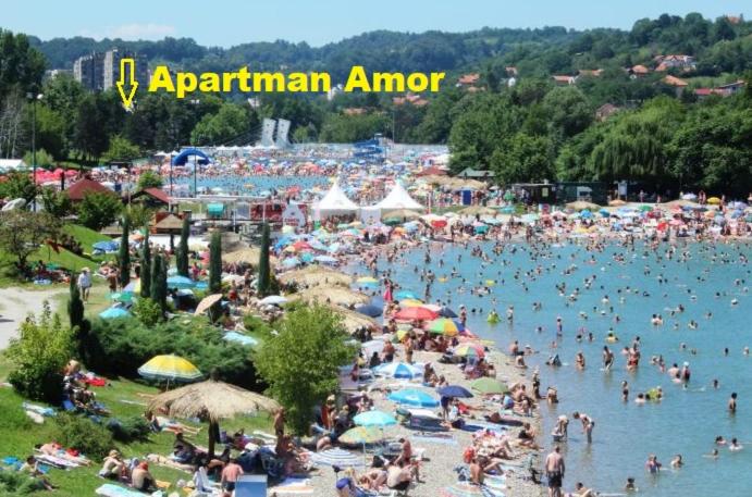 Apartman Amor - Apartman sa 1 Spavaćom Sobom - 23