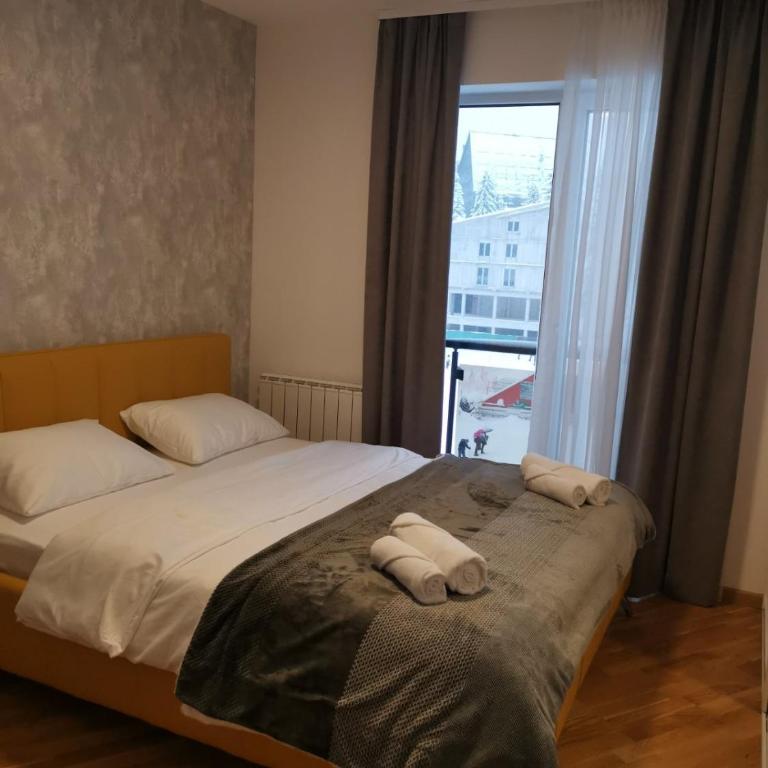 APARTHOTEL CENTRALA Apartman 10 - Apartman sa 1 Spavaćom Sobom - 13