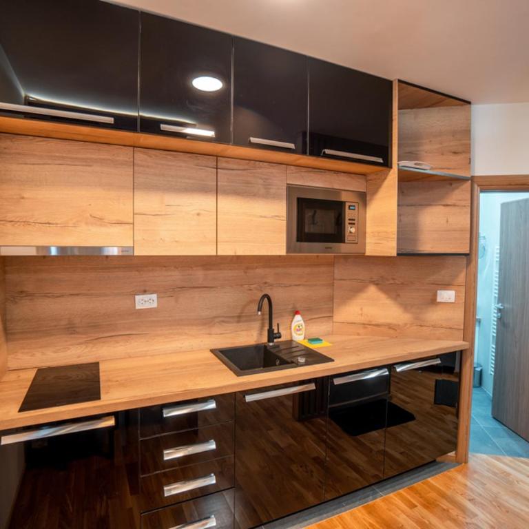 APARTHOTEL CENTRALA Apartman 10 - Apartman sa 1 Spavaćom Sobom - 8