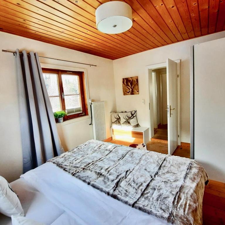 Kitzbühel Apartments Haus Brugger - Classic Apartment - 12