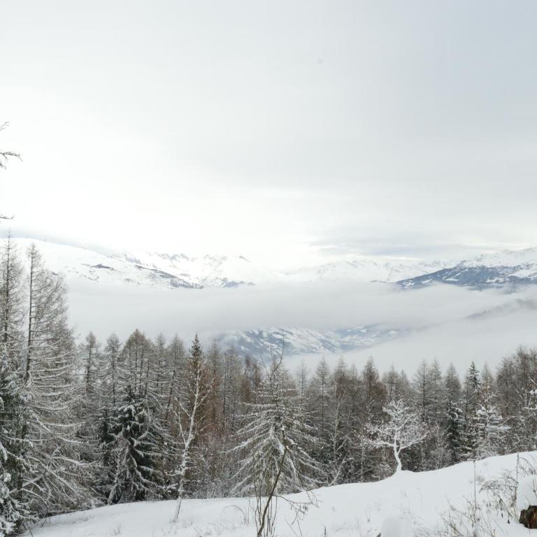 Your apartment near the ski lift - Two-Bedroom Apartment - 18