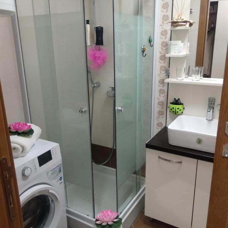 Vesna Apartman - Apartman sa 1 Spavaćom Sobom - 18