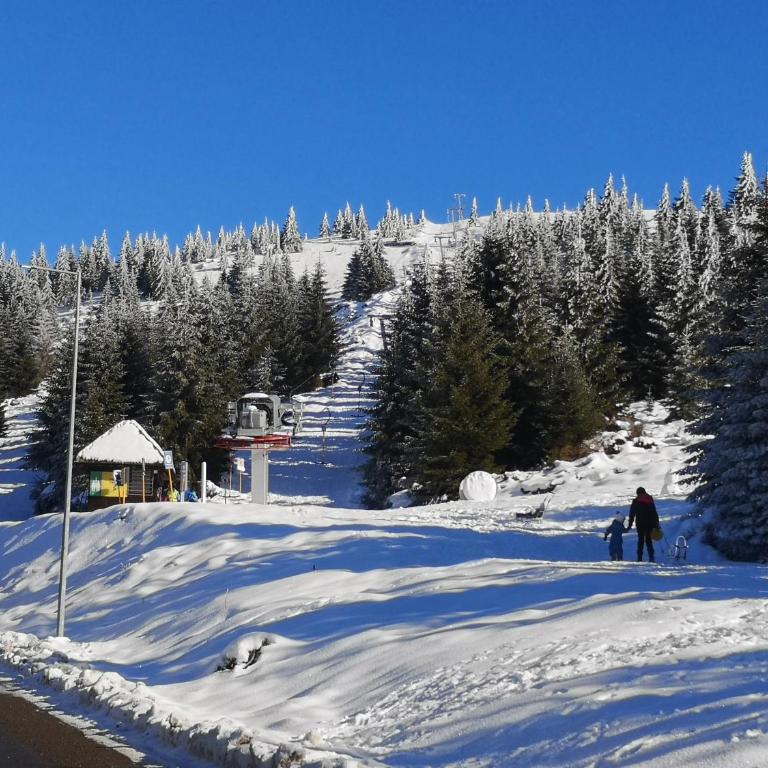 Apartman Kalina Suncani Breg - Apartman sa 1 Spavaćom Sobom - 1