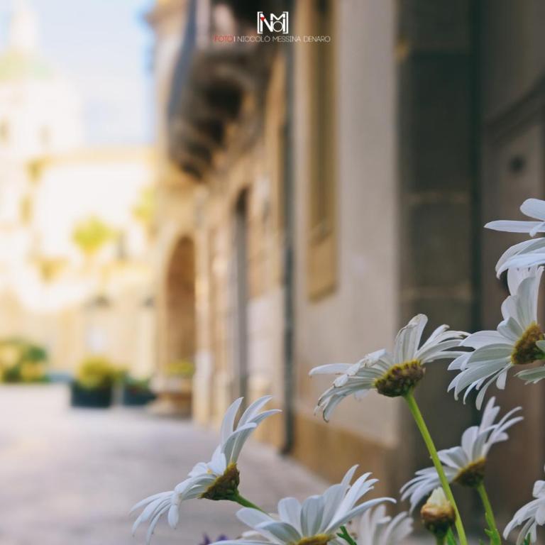 LA NASSA SUITES & ROOMS - Two-Bedroom Apartment - 44