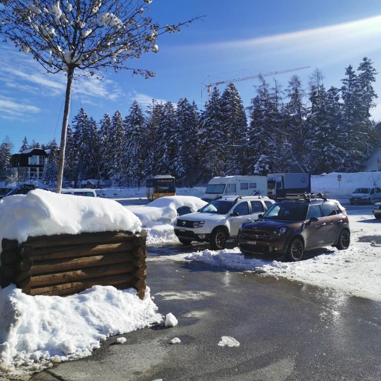CRANS MONTANA LE REGENT APPARTEMENT - Appartement 3 Chambres - 3