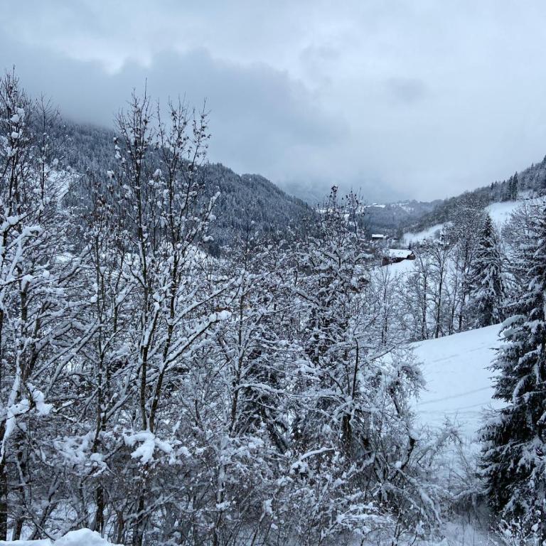 Chalet Soleya - Superior Chalet - 6