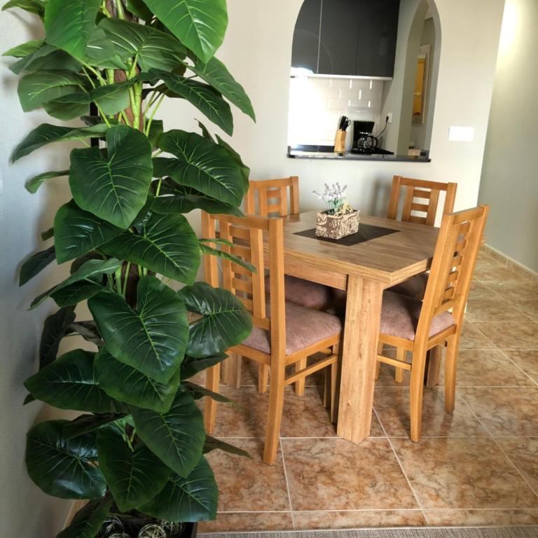 Torrevieja - Caballero de Rodas 173 - Apartamento de 2 dormitorios - 13