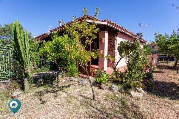 Grosseto Bilo - Appartamento - 5