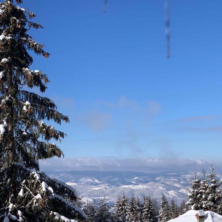 G&D Apartment Kopaonik - Duplex Apartment - 31