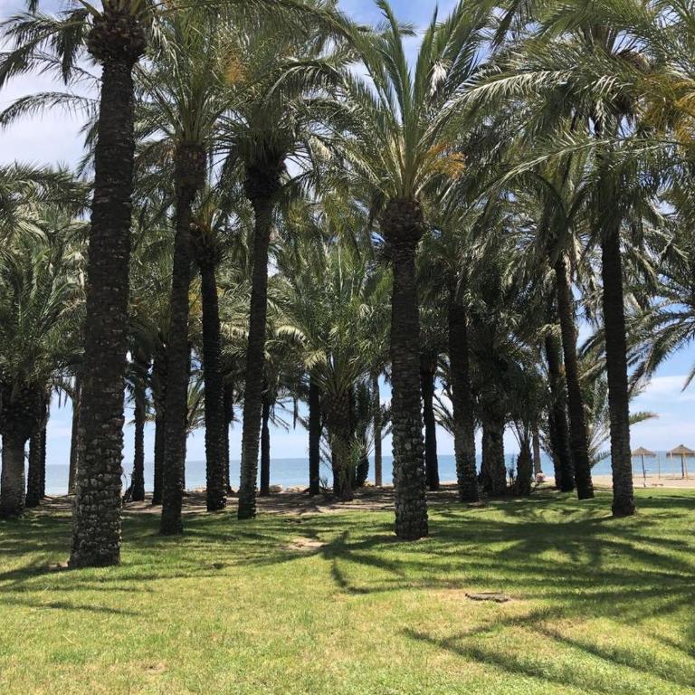 Apartamento El Remo - Apartamento Dúplex - 27
