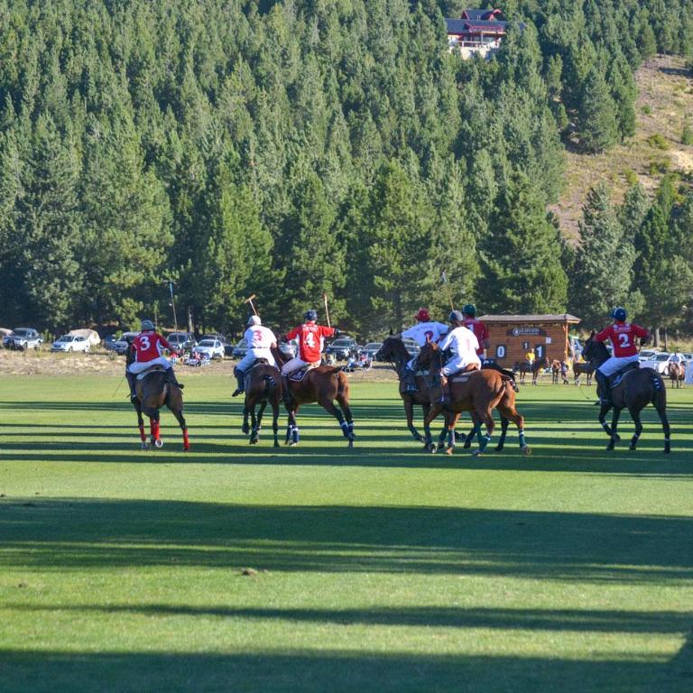 Casa de Montaña Golf & Polo - San Martin de los Andes - Casa con 1 dormitorio - 9