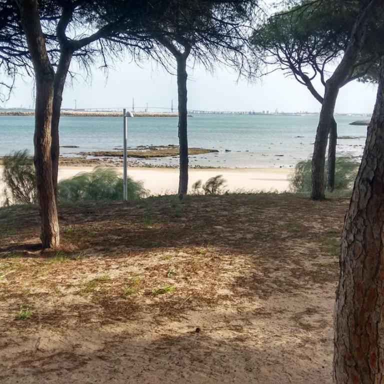 Dunas villa - Villa - 35
