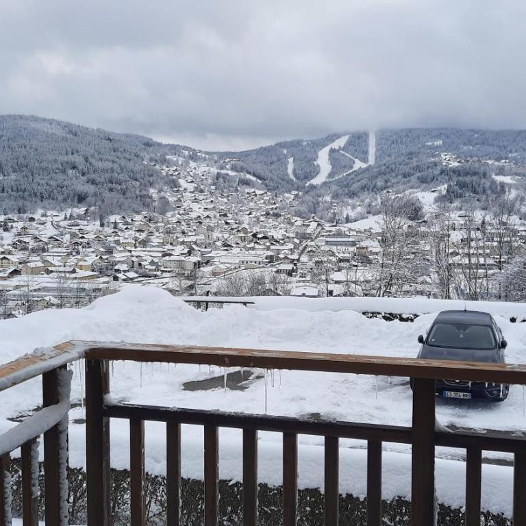 F2 SUR LES HAUTEURS DE GERARDMER - Appartement - 14