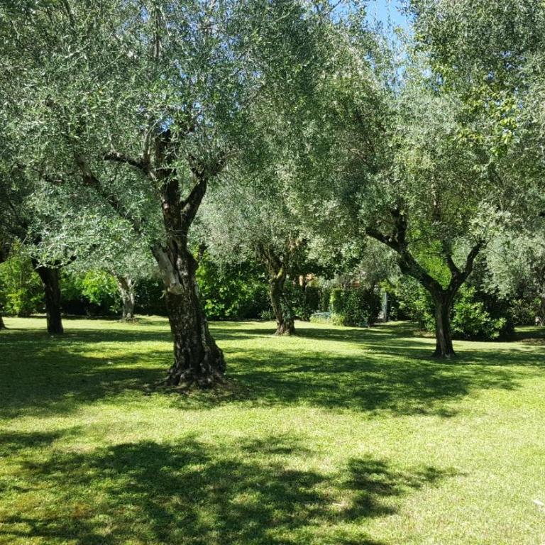 Villaggio Heliopolis - Chalet Superior - 3