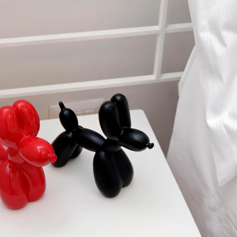 B&G Navona Apartment - Appartamento - 49