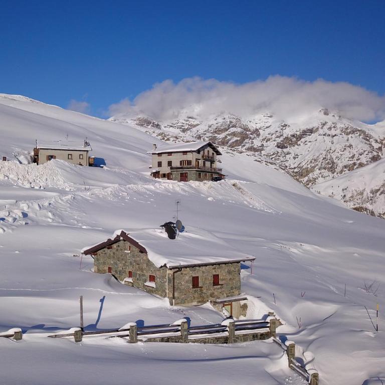 Alpino Lodge Bivio - Appartamento - 9