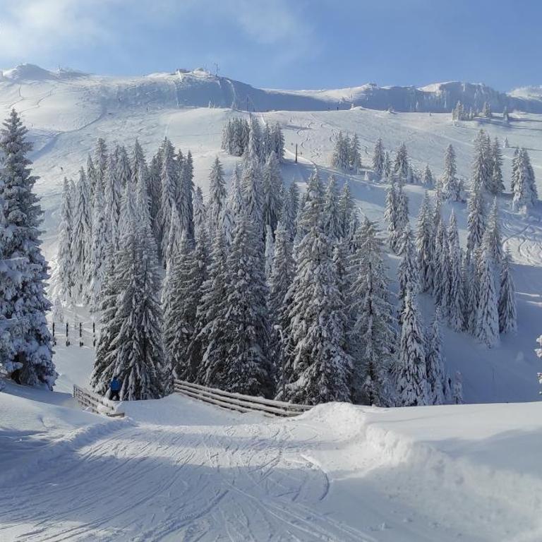 Olimpijska kuća Jahorina - A309 - One-Bedroom Apartment - 17