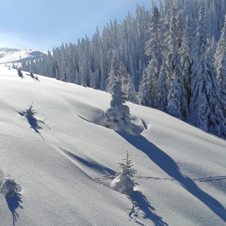 Olimpijska kuća Jahorina - A309 - One-Bedroom Apartment - 14