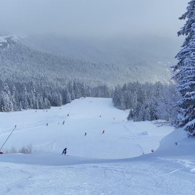 Olimpijska kuća Jahorina - A309 - One-Bedroom Apartment - 18