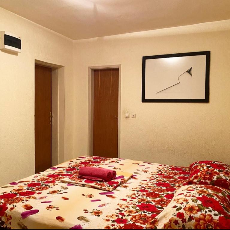 Apartmani Vila Marija - Apartman sa 1 Spavaćom Sobom - 17