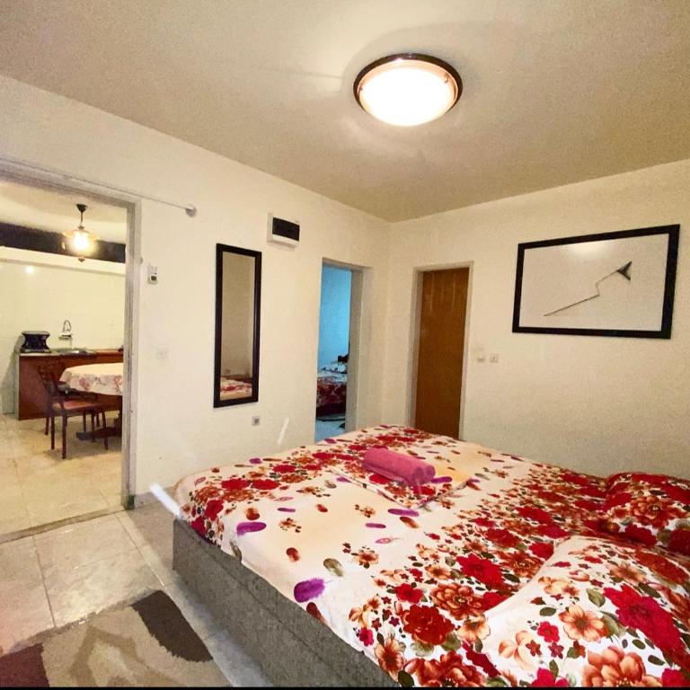 Apartmani Vila Marija - Apartman sa 1 Spavaćom Sobom - 15