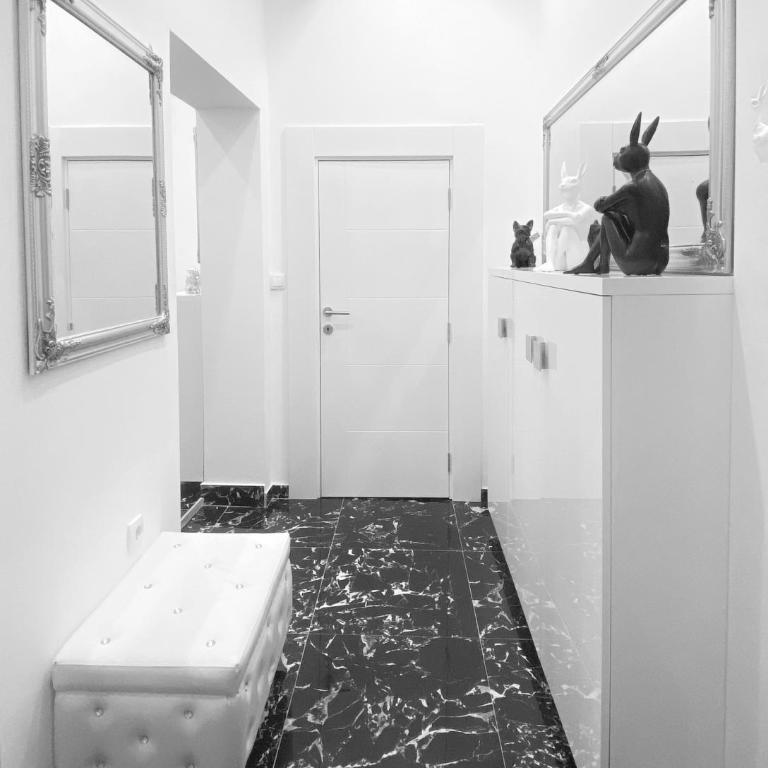 LUX apartment in downtown of Belgrade - Apartman sa 2 Spavaće Sobe - 13